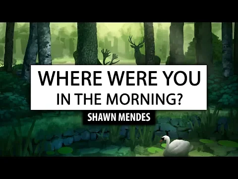 Download MP3 Shawn Mendes ‒ Where Were You In The Morning? [Lyrics] 🎤