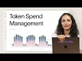 Introducing AI Token Spend Management Product Demo