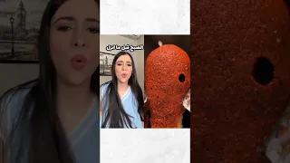 قصص اسراء نبيل اكسبلور 