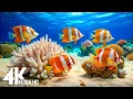 Lagu Aquarium 4K Ultra HD - Stunning Coral Reef Fish with Relaxing Meditation Music for Sleep