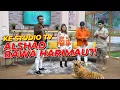 Download Lagu AKHIRNYA ALSHAD DATANG...!!! BAWA ESHAN ???