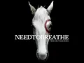 NEEDTOBREATHE - Something Beautiful