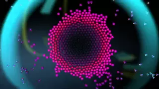 The Potbelleez - From The Music