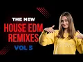 Download Lagu House EDM Remixes 2K25 Vol 5