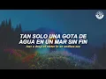 Kansas - Dust In The Wind [video lyrics + letra]