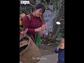 Download Lagu Single Mother Feels Sad as Husband Leaves for Work Far Away | Village Life Story 