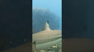 New fishing technique worked! 😮