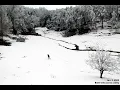 Snow in Walland Tennessee