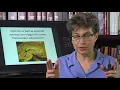 21 2 Myths of Homeostasis