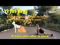 Lagu Yi Jin Jing. Explicación completa de las 12 formas paso a paso