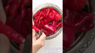 طريقة عمل دبس فليفلة بدون نشر بالشمس دبس فليفلة دبس الفليفلة الحمراء  طريقة عمل دبس فليفلة بدون نشر بالشمس دبس فليفلة دبس الفليفلة الحمراء