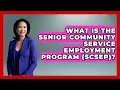 What Is The Senior Community Service Employment Program SCSEP - Job Success Network