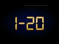 Random Number Generator 1-20 ToolMula