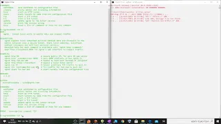 How to Forward Your local python server with ngrok