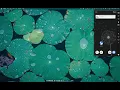 Dynamic Analysis of Android Application using MobSF Android Pentest