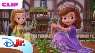 Veggie Good Time 🥕🍅 Sofia la Principessa: Musica reale