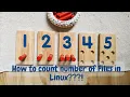 How to count number of files in Linux