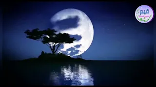 نشيد أيها القلب كلمات رحاب طاغلي أداء قيم دندنها