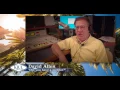 David Allen s Mentor