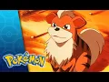 Download Lagu Holy Matrimony! | POKÉMON FULL EPISODE 45 | Season 1