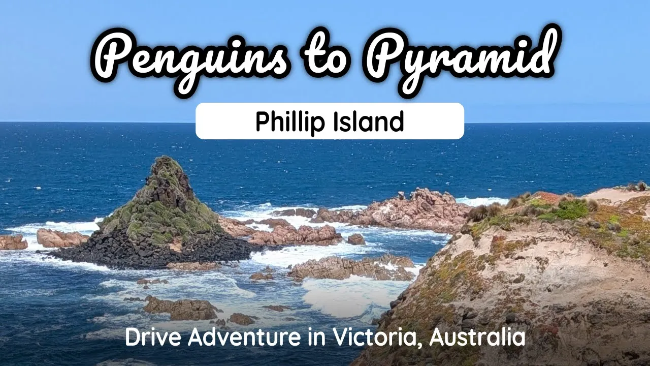 Island adventure, Penguin Parade to Pyramid Rock on Phillip Island! #driving #scenic #relaxing