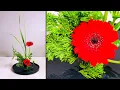 Download Lagu ABC FLORAL DESIGN 56. Gebera and Iris Leave in Ikebana