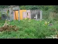 Download Lagu Forgotten Village in Dominica 2021: Marafana Square Pichelin - Siri Exposing
