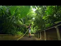 Inside Kew Gardens During Peak Summer 4K Documentary