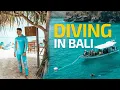 Download Lagu Incredible Experience Scuba Diving with Mantas in Bali Indonesia