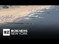 Sharks spotted at Rockaway Beach