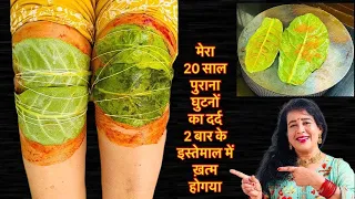 खाट में जकड़ा इंसान भी दौड़ने लगेगा/ घुटने और जोड़ भी एकदम फिट होजाएंगे इसके 1 पत्ते से paan leaf