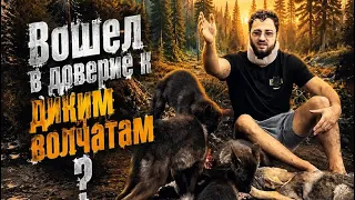 Трапезничаю вместе с ВОЛЧАТАМИ 😱‼️