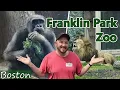 Should you Go to Franklin Park Zoo In Boston It is Not What We Expected