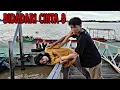 Download Lagu BIDADARI CINTA 8 || FILM BELADIRI INDONESIA