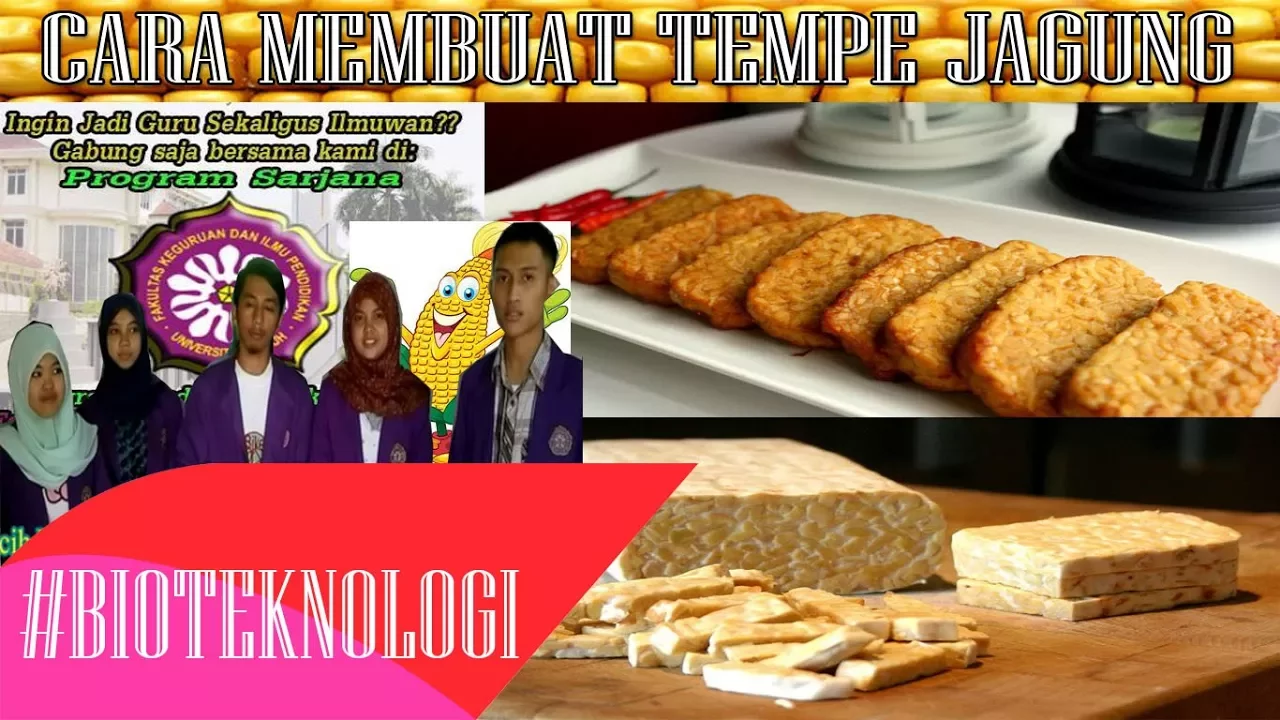 Cara Membuat Tempe Jagung #Bioteknologi #1 Cara Membuat Tempe Jagung #Bioteknologi #1