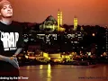 Nefret Şahi