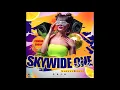 WILLIE BOUNCE - MARATHON STYLE [SKYWIDE ONE RIDDIM]