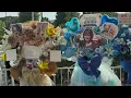【散歩 vol.11】武道館：さや姉バースデーライブ