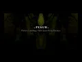 PEAU II - La division