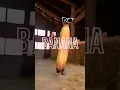 CHICKEN BANANA
