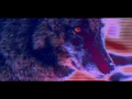 80 Oz. GeeZ - Dont Pray For Me | Dir. by FO Films (Official Music Video)