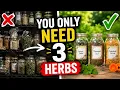 How I Would Learn Herbalism From Scratch Today