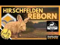 Hirschfelden IS REBORN SO Many Animals Now First DIAMOND European Rabbit Call of the Wild