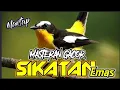 Download Lagu MASTERAN BURUNG KICAU\