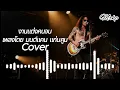 งานแต่งคนจน - ( เพลงโดย มนต์แคน แก่นคูน ) Cover Mr kp