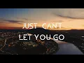 Nigel Stately & T.O.M - Just Can't Let You Go