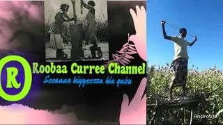 Abrahim Badiya Sirba Durii Kan Ajaa Ibaa Looshee Magaallee BahaliyakeTv Lencho Abdishakur 