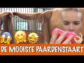 Lagu Tips van het internet: de beste paardenstaart ever!! | PaardenpraatTV