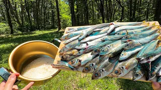 ルール:釣れた魚は全て鍋にぶっこむ。