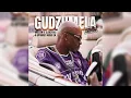 Gudzumela - Optimist Music ZA X Mellow & Sleazy012 full song